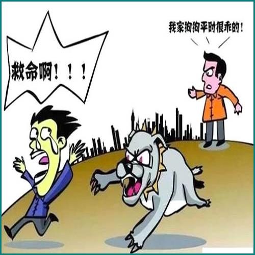 申請繼承遺產(chǎn)理由怎么寫