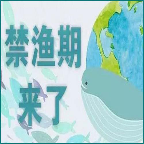 逾期了怎么找網(wǎng)貸協(xié)商