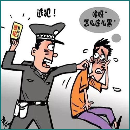 花唄逾期支付寶網(wǎng)絡(luò)差