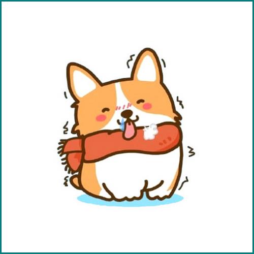 信用卡逾期還能套出來嗎