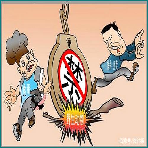 欠了網(wǎng)貸 老婆的爸媽知道了